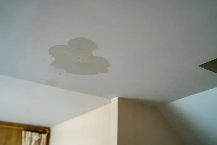 Water stain spreading across a white drywall ceiling from a leak above